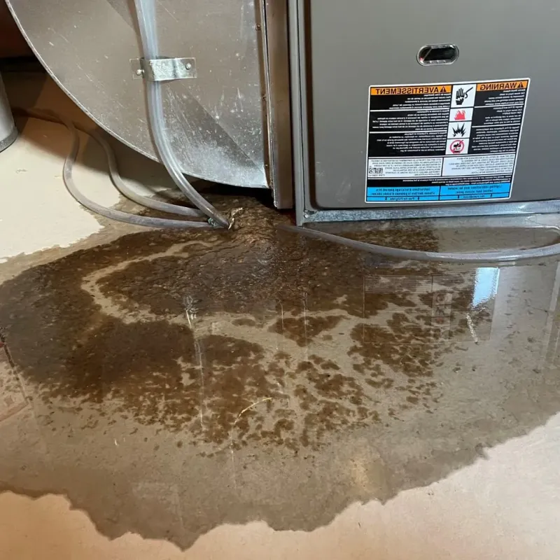 Pipe Burst and Leak Restoration in Farmington Hills, MI